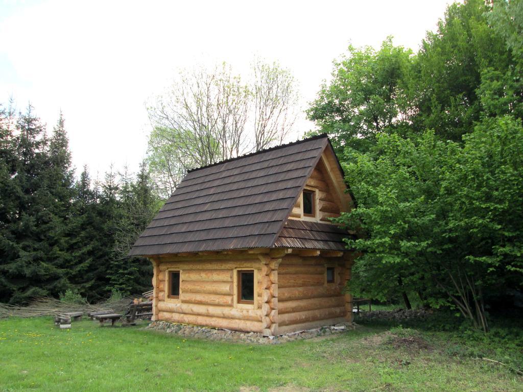 Noclegi Pod Malym Krolem Ustrzyki Dolne Exterior photo